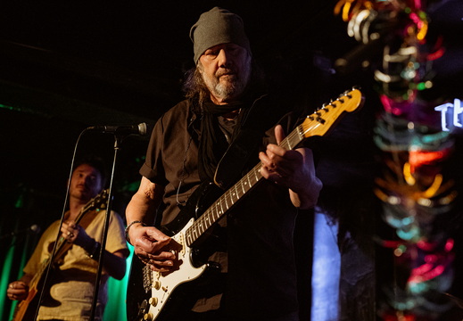 Hamburg Blues Band